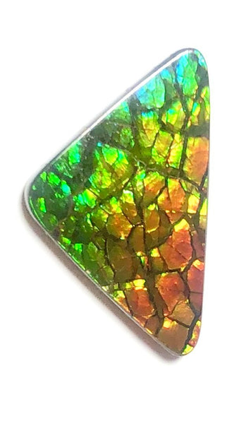 30% OFF 26  x 15 mm  Top Grade Natural  Free Form . FFNT 109 Ammolite  ナチュラル　ルース　アンモライト フリーフォーム
