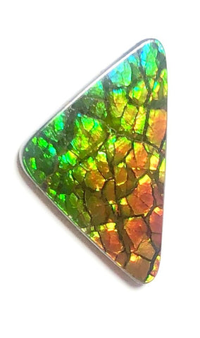 30% OFF 26  x 15 mm  Top Grade Natural  Free Form . FFNT 109 Ammolite  ナチュラル　ルース　アンモライト フリーフォーム
