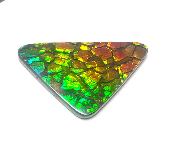 30% OFF 26  x 15 mm  Top Grade Natural  Free Form . FFNT 109 Ammolite  ナチュラル　ルース　アンモライト フリーフォーム