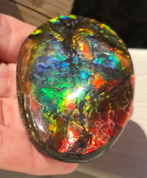 55x41x6㎜  LARGE Natural  Free Form . FFNT 139 Ammolite  BEAUTY ナチュラル　ルース　アンモライト フリーフォーム