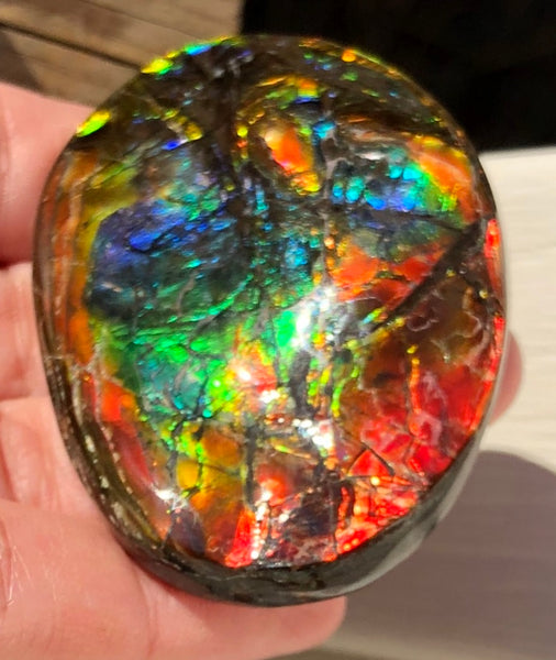 55x41x6㎜  LARGE Natural  Free Form . FFNT 139 Ammolite  BEAUTY ナチュラル　ルース　アンモライト フリーフォーム