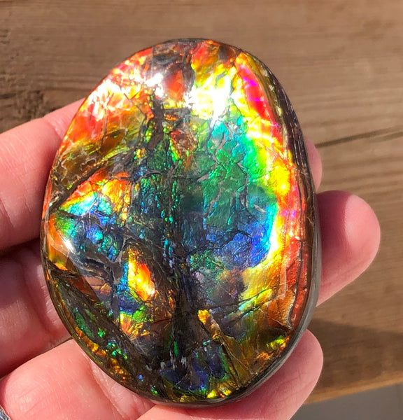 55x41x6㎜  LARGE Natural  Free Form . FFNT 139 Ammolite  BEAUTY ナチュラル　ルース　アンモライト フリーフォーム