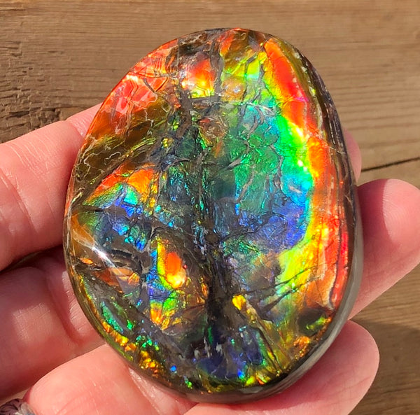 55x41x6㎜  LARGE Natural  Free Form . FFNT 139 Ammolite  BEAUTY ナチュラル　ルース　アンモライト フリーフォーム