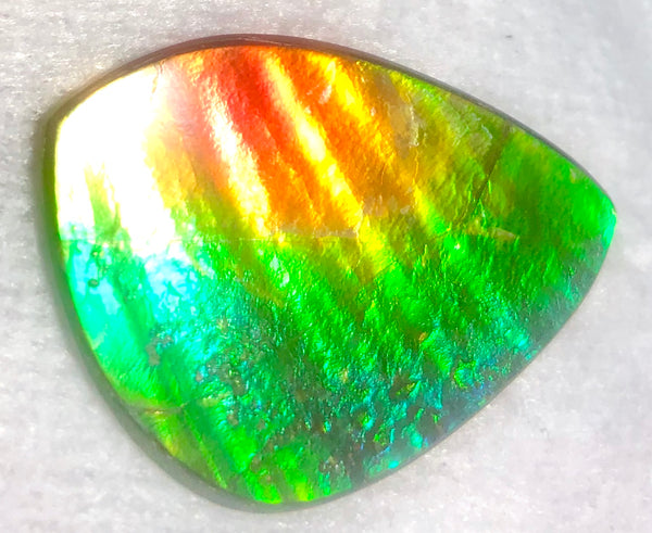 SALE! 40% OFF 38  x 26 mm  Top Grade Natural  Free Form . FFNT 111 Ammolite  ナチュラル　ルース　アンモライト フリーフォーム