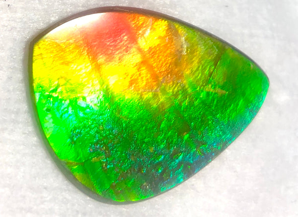 SALE! 40% OFF 38  x 26 mm  Top Grade Natural  Free Form . FFNT 111 Ammolite  ナチュラル　ルース　アンモライト フリーフォーム