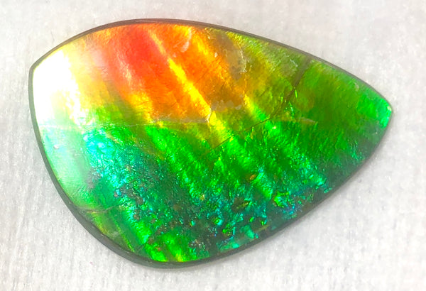 SALE! 40% OFF 38  x 26 mm  Top Grade Natural  Free Form . FFNT 111 Ammolite  ナチュラル　ルース　アンモライト フリーフォーム
