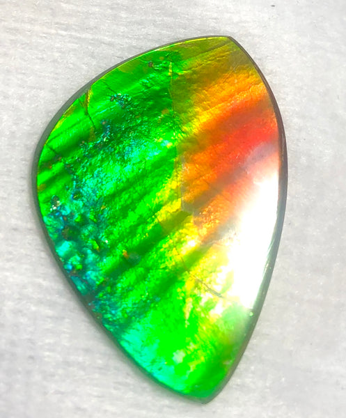 SALE! 40% OFF 38  x 26 mm  Top Grade Natural  Free Form . FFNT 111 Ammolite  ナチュラル　ルース　アンモライト フリーフォーム