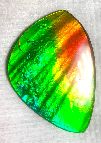 SALE! 40% OFF 38  x 26 mm  Top Grade Natural  Free Form . FFNT 111 Ammolite  ナチュラル　ルース　アンモライト フリーフォーム