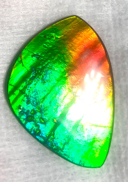 SALE! 40% OFF 38  x 26 mm  Top Grade Natural  Free Form . FFNT 111 Ammolite  ナチュラル　ルース　アンモライト フリーフォーム