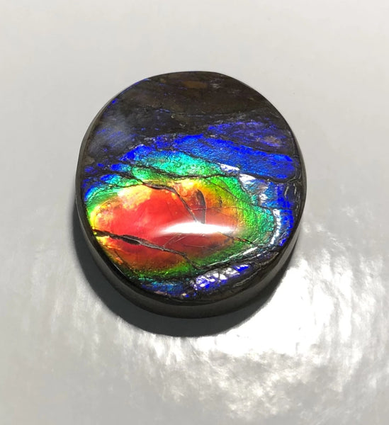 Rainbow colors / crimson red 39x32 mm  Top Grade Natural  Free Form . FFNT 140 Ammolite  レインボーカラー深紅！ナチュラル　ルース　アンモライト ケース付！