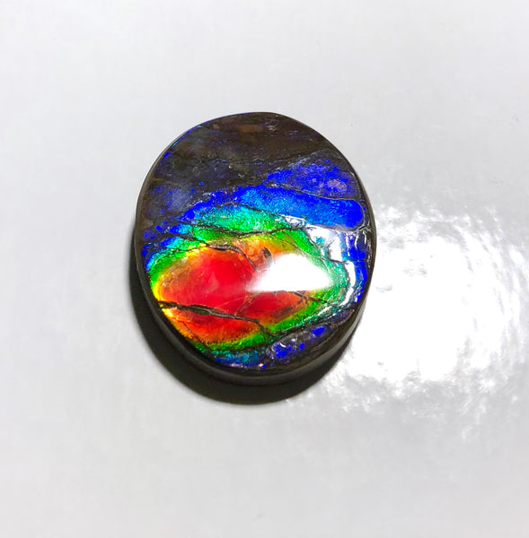 Rainbow colors / crimson red 39x32 mm  Top Grade Natural  Free Form . FFNT 140 Ammolite  レインボーカラー深紅！ナチュラル　ルース　アンモライト ケース付！