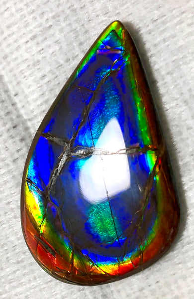 48x30 mm  Top Grade Natural  Free Form . FFNT 112 Ammolite  Free Shipping! ナチュラル　ルース　アンモライト ケース付　送料無料！