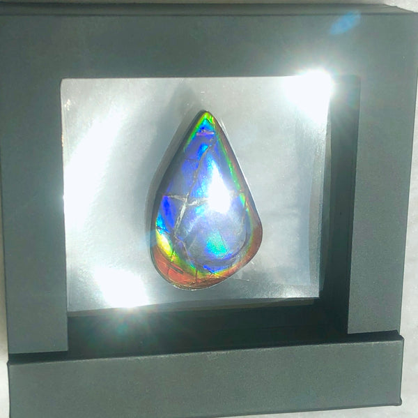 48x30 mm  Top Grade Natural  Free Form . FFNT 112 Ammolite  Free Shipping! ナチュラル　ルース　アンモライト ケース付　送料無料！