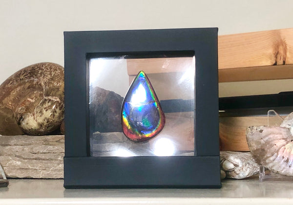 48x30 mm  Top Grade Natural  Free Form . FFNT 112 Ammolite  Free Shipping! ナチュラル　ルース　アンモライト ケース付　送料無料！