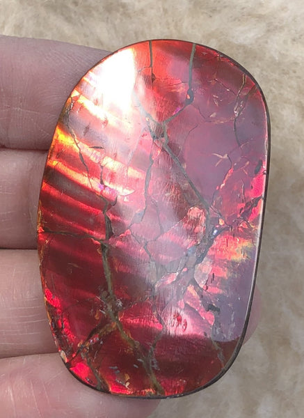 46 x 29  mm  - IMP-67 RARE  Natural Ammolite Double-Sided Rainbow Imperial! 両面iインペリアル！レアルース アンモライト