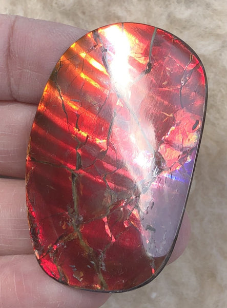 46 x 29  mm  - IMP-67 RARE  Natural Ammolite Double-Sided Rainbow Imperial! 両面iインペリアル！レアルース アンモライト