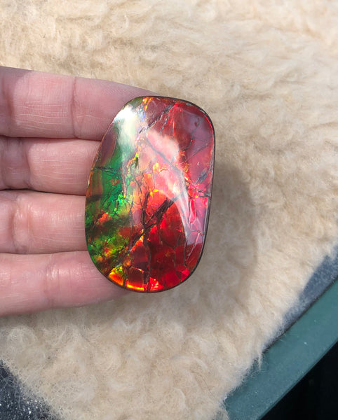 46 x 29  mm  - IMP-67 RARE  Natural Ammolite Double-Sided Rainbow Imperial! 両面iインペリアル！レアルース アンモライト
