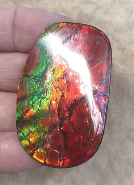 46 x 29  mm  - IMP-67 RARE  Natural Ammolite Double-Sided Rainbow Imperial! 両面iインペリアル！レアルース アンモライト