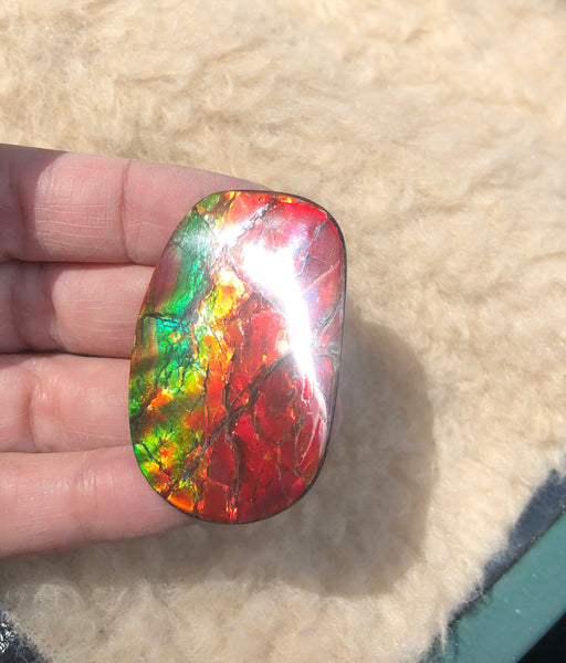 46 x 29  mm  - IMP-67 RARE  Natural Ammolite Double-Sided Rainbow Imperial! 両面iインペリアル！レアルース アンモライト