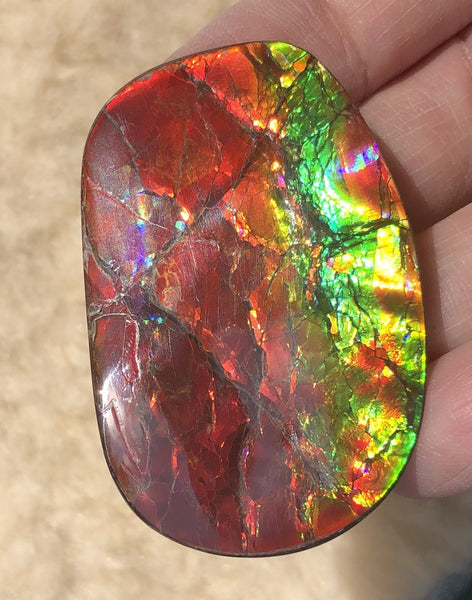 46 x 29  mm  - IMP-67 RARE  Natural Ammolite Double-Sided Rainbow Imperial! 両面iインペリアル！レアルース アンモライト