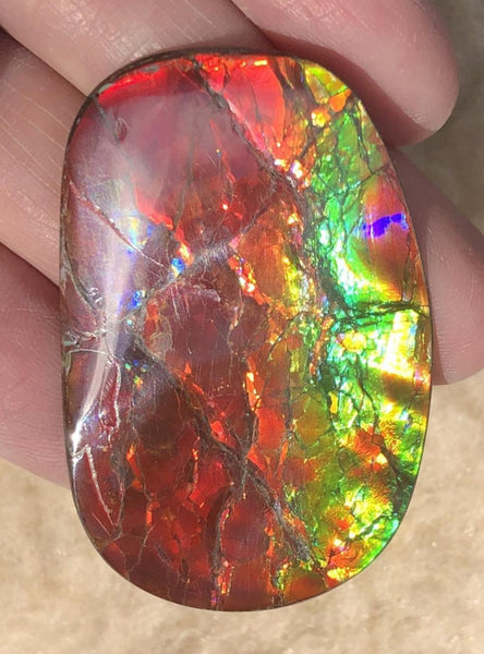 46 x 29  mm  - IMP-67 RARE  Natural Ammolite Double-Sided Rainbow Imperial! 両面iインペリアル！レアルース アンモライト
