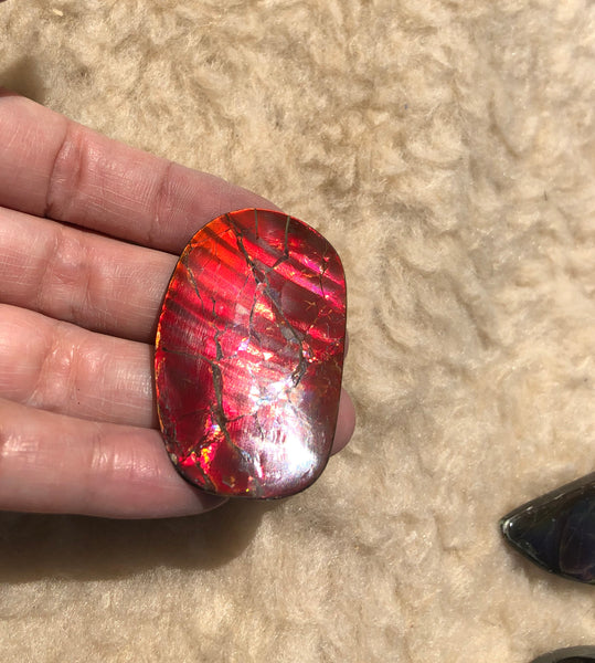 46 x 29  mm  - IMP-67 RARE  Natural Ammolite Double-Sided Rainbow Imperial! 両面iインペリアル！レアルース アンモライト