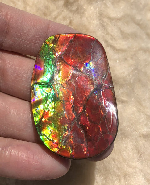46 x 29  mm  - IMP-67 RARE  Natural Ammolite Double-Sided Rainbow Imperial! 両面iインペリアル！レアルース アンモライト