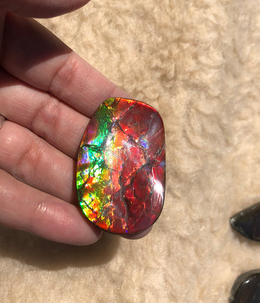 46 x 29  mm  - IMP-67 RARE  Natural Ammolite Double-Sided Rainbow Imperial! 両面iインペリアル！レアルース アンモライト
