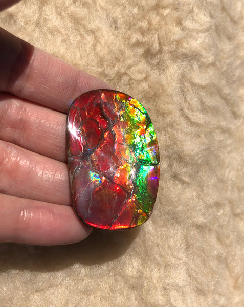 46 x 29  mm  - IMP-67 RARE  Natural Ammolite Double-Sided Rainbow Imperial! 両面iインペリアル！レアルース アンモライト