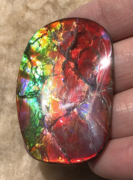 46 x 29  mm  - IMP-67 RARE  Natural Ammolite Double-Sided Rainbow Imperial! 両面iインペリアル！レアルース アンモライト