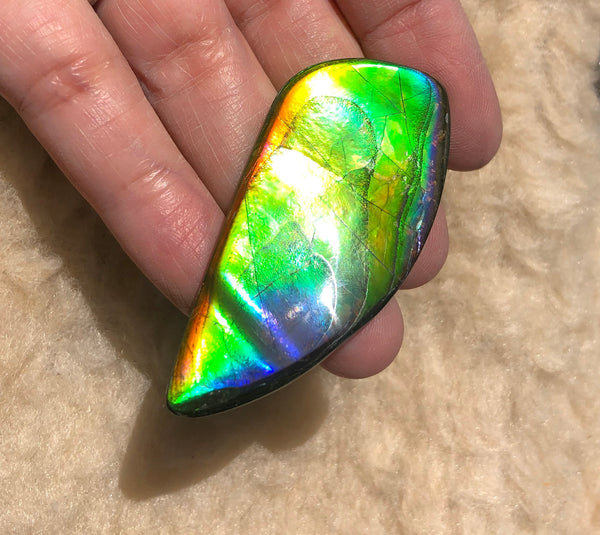54x25x5 mm Large TOP Grade Natural  Free Form . FFNT 133 Ammolite  ナチュラル　ルース　アンモライト