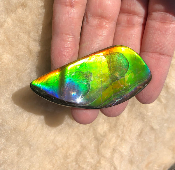 54x25x5 mm Large TOP Grade Natural  Free Form . FFNT 133 Ammolite  ナチュラル　ルース　アンモライト