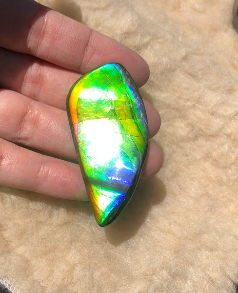 54x25x5 mm Large TOP Grade Natural  Free Form . FFNT 133 Ammolite  ナチュラル　ルース　アンモライト