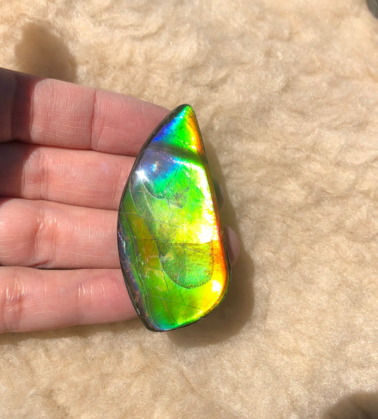 54x25x5 mm Large TOP Grade Natural  Free Form . FFNT 133 Ammolite  ナチュラル　ルース　アンモライト