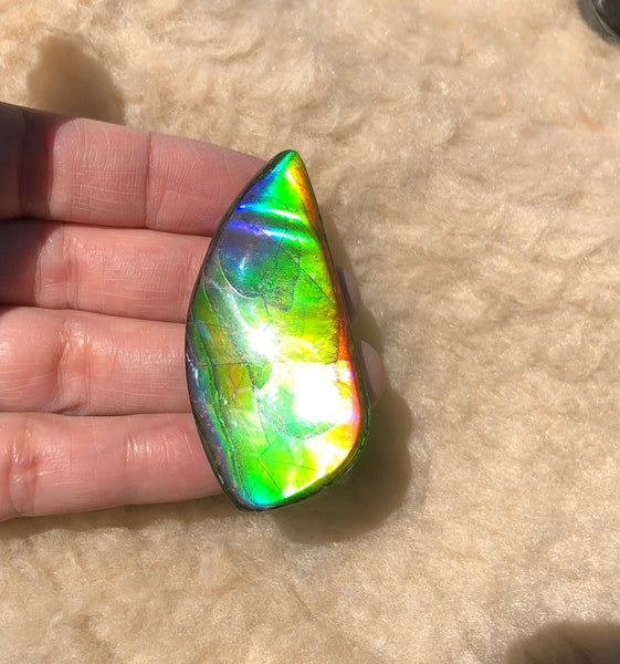 54x25x5 mm Large TOP Grade Natural  Free Form . FFNT 133 Ammolite  ナチュラル　ルース　アンモライト