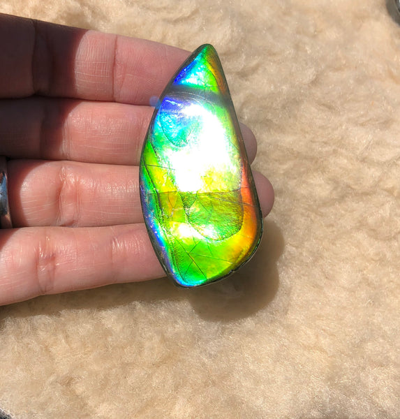 54x25x5 mm Large TOP Grade Natural  Free Form . FFNT 133 Ammolite  ナチュラル　ルース　アンモライト