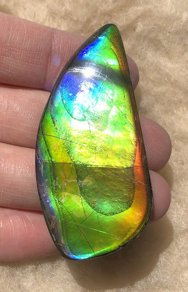 54x25x5 mm Large TOP Grade Natural  Free Form . FFNT 133 Ammolite  ナチュラル　ルース　アンモライト