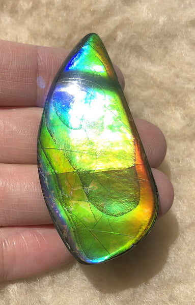 54x25x5 mm Large TOP Grade Natural  Free Form . FFNT 133 Ammolite  ナチュラル　ルース　アンモライト