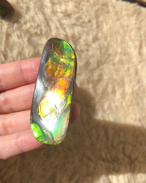 62 x 25  mm  - IMP-69 RARE  Natural Ammolite Double-Sided Rainbow Imperial! 両面iインペリアル！レアルース アンモライト
