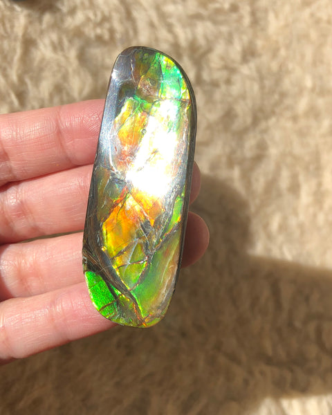 62 x 25  mm  - IMP-69 RARE  Natural Ammolite Double-Sided Rainbow Imperial! 両面iインペリアル！レアルース アンモライト