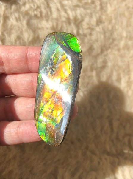 62 x 25  mm  - IMP-69 RARE  Natural Ammolite Double-Sided Rainbow Imperial! 両面iインペリアル！レアルース アンモライト