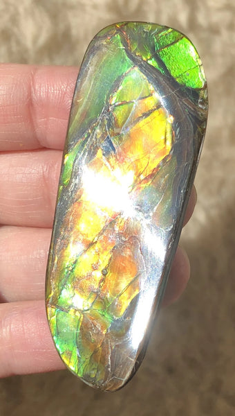 62 x 25  mm  - IMP-69 RARE  Natural Ammolite Double-Sided Rainbow Imperial! 両面iインペリアル！レアルース アンモライト