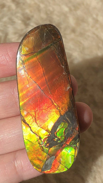 62 x 25  mm  - IMP-69 RARE  Natural Ammolite Double-Sided Rainbow Imperial! 両面iインペリアル！レアルース アンモライト