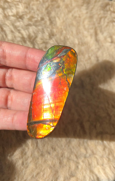 62 x 25  mm  - IMP-69 RARE  Natural Ammolite Double-Sided Rainbow Imperial! 両面iインペリアル！レアルース アンモライト