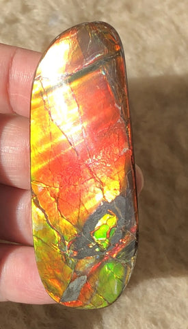 62 x 25  mm  - IMP-69 RARE  Natural Ammolite Double-Sided Rainbow Imperial! 両面iインペリアル！レアルース アンモライト