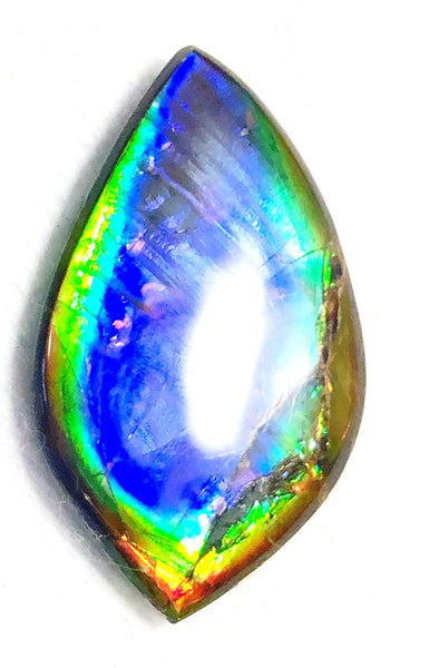 40 x 23.5 mm  Natural  Free Form . FFNT 118 Ammolite  ナチュラル　ルース　アンモライト フリーフォーム