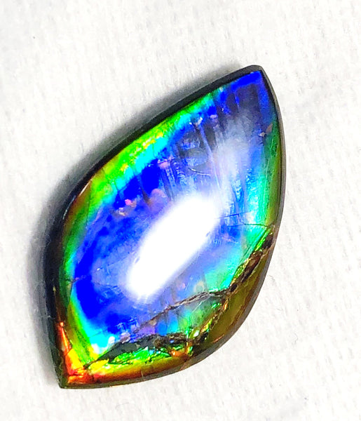 40 x 23.5 mm  Natural  Free Form . FFNT 118 Ammolite  ナチュラル　ルース　アンモライト フリーフォーム