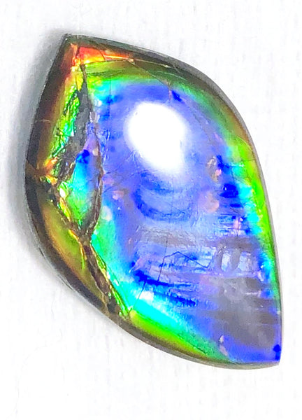 40 x 23.5 mm  Natural  Free Form . FFNT 118 Ammolite  ナチュラル　ルース　アンモライト フリーフォーム