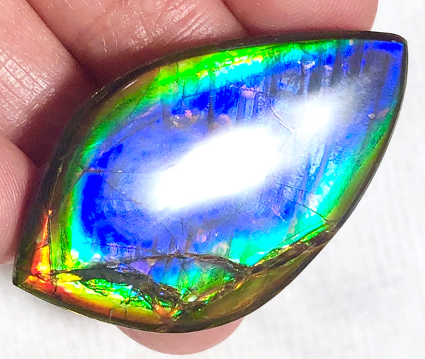 40 x 23.5 mm  Natural  Free Form . FFNT 118 Ammolite  ナチュラル　ルース　アンモライト フリーフォーム