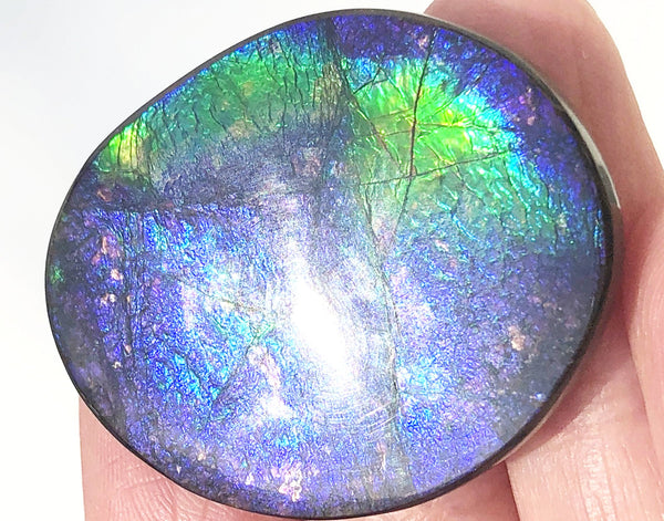 35x28mm    Natural  Free Form . FFN360  Ammolite  ナチュラル　ルース　アンモライト フリーフォーム